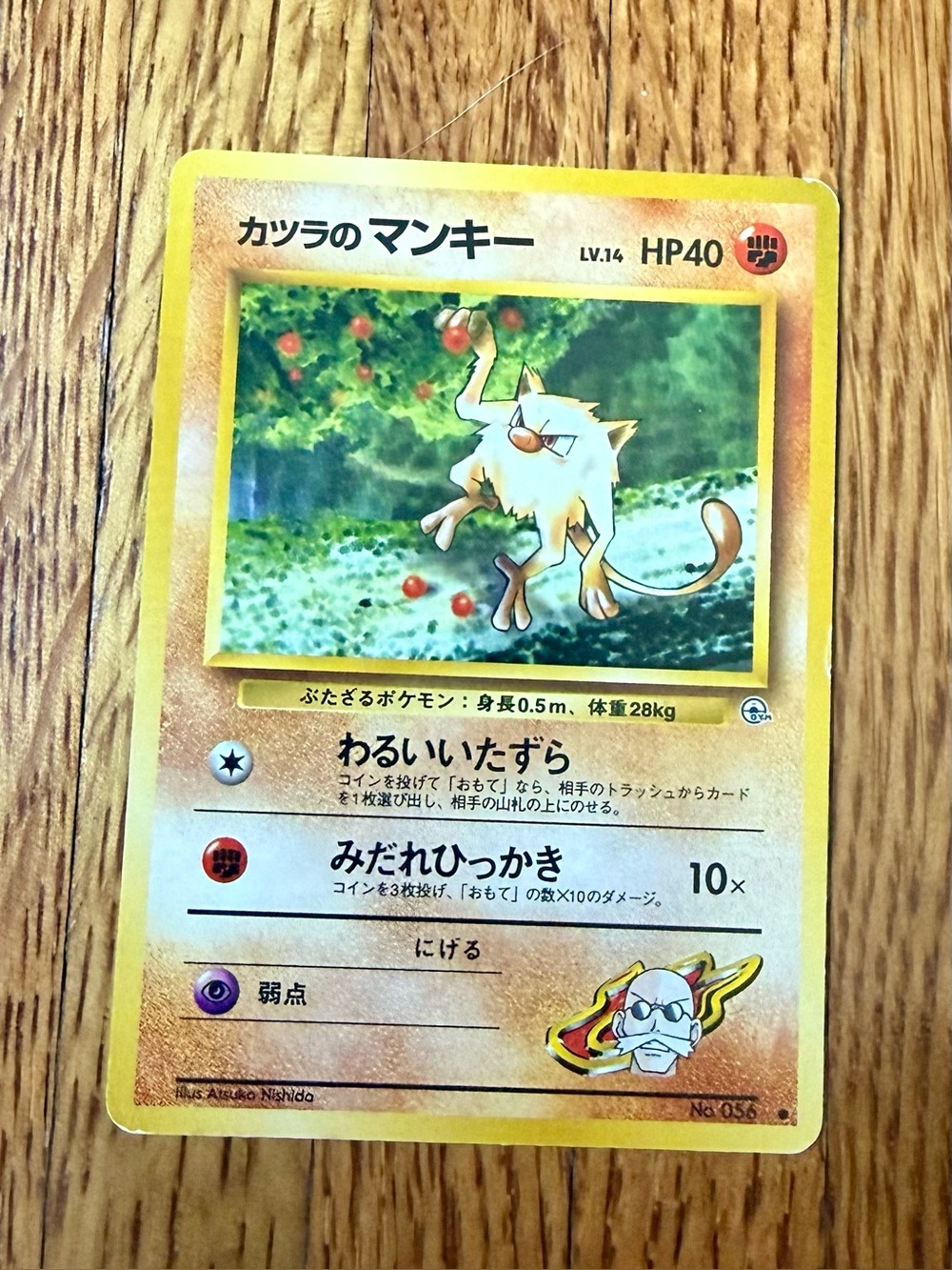 Blaine Mankey TCG Lv.14 Pokemon Card Game Japanese Japan Nintendo Anime
